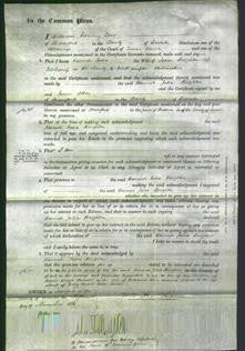 Court of Common Pleas - Hannah Julia Knighten-Original Ancestry