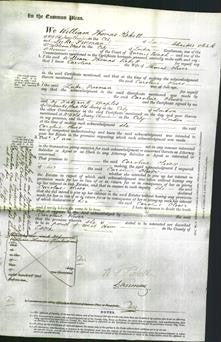 Court of Common Pleas - Caroline Oliver-Original Ancestry