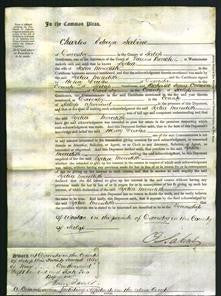 Court of Common Pleas - Lydia Meredith-Original Ancestry