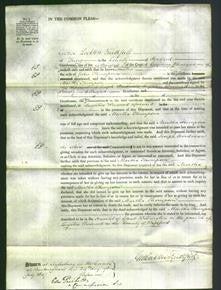 Court of Common Pleas - Martha Thompson-Original Ancestry