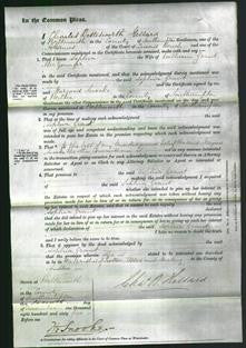 Court of Common Pleas - Sophia Grant-Original Ancestry