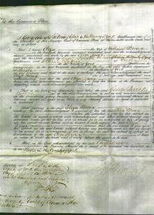 Court of Common Pleas - Eliza Hopkinson Brown-Original Ancestry