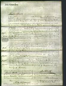 Court of Common Pleas - Mary Anne Eyles-Original Ancestry