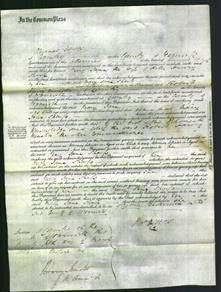 Court of Common Pleas - Mary Jane Sharp-Original Ancestry