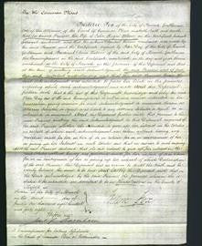 Court of Common Pleas - Frances Bloom-Original Ancestry