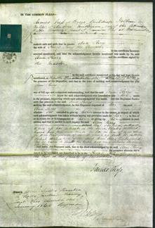 Court of Common Pleas - Ann Parry-Original Ancestry