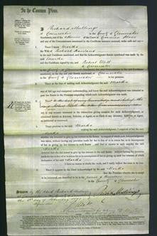 Court of Common Pleas - Martha Haviland-Original Ancestry