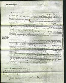 Court of Common Pleas - Mary Catherine Rogers-Original Ancestry