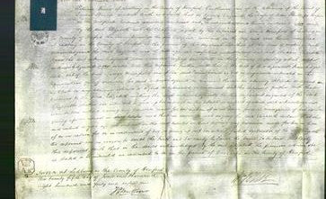 Court of Common Pleas - Elizabeth Hooper-Original Ancestry