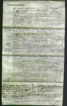 Court of Common Pleas - Eliza Elliss, Mary Ann Davy, Martha Swinden and Emma Sockhill-Original Ancestry