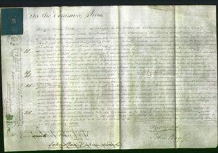 Court of Common Pleas - Sarah Trembling-Original Ancestry