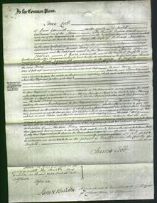 Court of Common Pleas - Mary Houchen-Original Ancestry