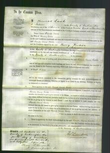 Court of Common Pleas - Sarah Anne Earle-Original Ancestry