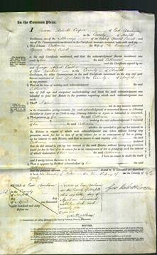 Court of Common Pleas - Catherine Cubitt-Original Ancestry