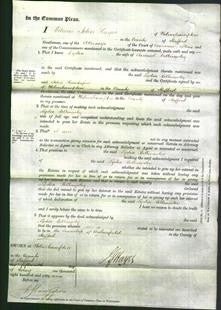 Court of Common Pleas - Lydia Billingsley-Original Ancestry