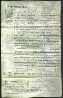Court of Common Pleas - Adelaide Hollis-Original Ancestry
