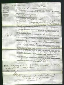 Court of Common Pleas - Selina Maria Pyman-Original Ancestry