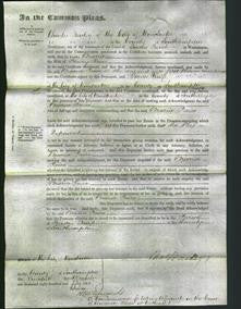 Court of Common Pleas - Maria Paice-Original Ancestry