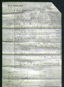 Court of Common Pleas - Ann Faulkner Dodgson-Original Ancestry