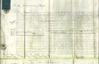 Court of Common Pleas - Charlotte Rowland, Elizabeth Rowland-Original Ancestry