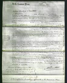 Court of Common Pleas - Mary Bowerman-Original Ancestry