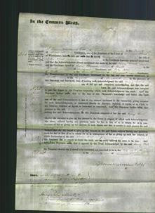 Court of Common Pleas - Mary Wood-Original Ancestry