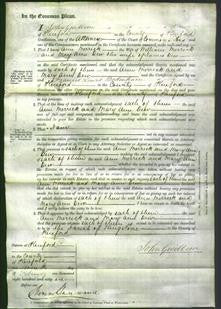 Court of Common Pleas - Ann Merrick and Mary Ann Dew-Original Ancestry