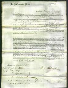 Court of Common Pleas - Elizabeth Rawson-Original Ancestry