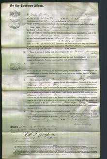 Court of Common Pleas - Maria Jennings May-Original Ancestry