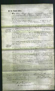 Court of Common Pleas - Laura Jones-Original Ancestry