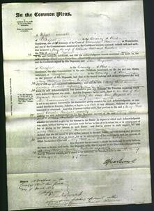 Court of Common Pleas - Mary Skell and Caroline Theobald-Original Ancestry