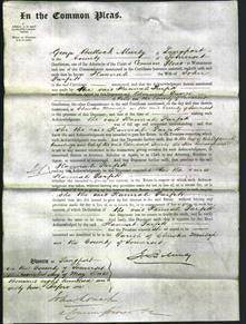 Court of Common Pleas - Hannah Parfitt-Original Ancestry