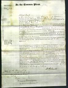 Court of Common Pleas - Elizabeth Greenwell-Original Ancestry