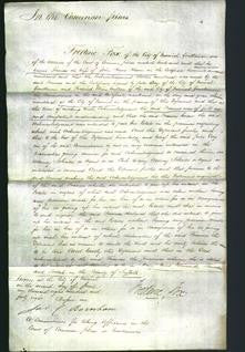 Court of Common Pleas - Frances Bloom-Original Ancestry