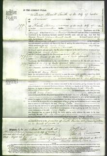 Court of Common Pleas - Mary Pedler-Original Ancestry