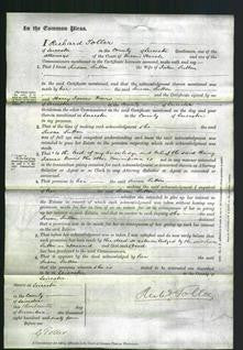 Court of Common Pleas - Susan Sutton-Original Ancestry