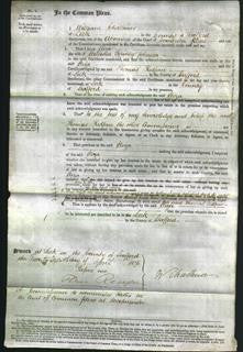 Court of Common Pleas - Eliza Johnson and Ann Lovatt-Original Ancestry