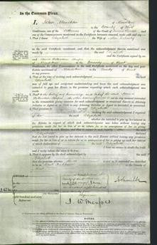 Court of Common Pleas - Elizabeth Doherty-Original Ancestry