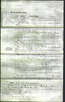 Court of Common Pleas - Mary Knowles-Original Ancestry