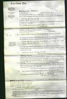 Court of Common Pleas - Emily Buck-Original Ancestry