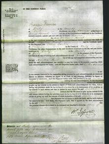 Court of Common Pleas - Martha Hunt-Original Ancestry