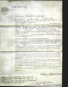 Court of Common Pleas - Ann Witts-Original Ancestry