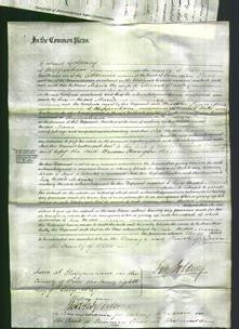 Court of Common Pleas - Maria Manley-Original Ancestry