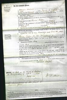 Court of Common Pleas - Eliza Johnson and Ann Lovatt-Original Ancestry