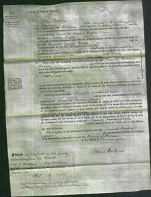 Court of Common Pleas - Charlotte Martin Draper-Original Ancestry