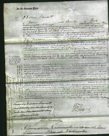 Court of Common Pleas - Jane Nightingale-Original Ancestry