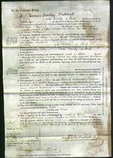 Court of Common Pleas - Hannah Richardson, Frances Bantoft and Anna Elizabeth Watkinson-Original Ancestry