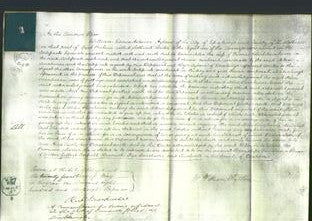 Court of Common Pleas - Helen Swinburne-Original Ancestry