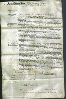 Court of Common Pleas - Sarah Isabella Johnson and Margaret Ann Bell-Original Ancestry