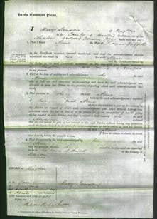 Court of Common Pleas - Anne Griffiths-Original Ancestry